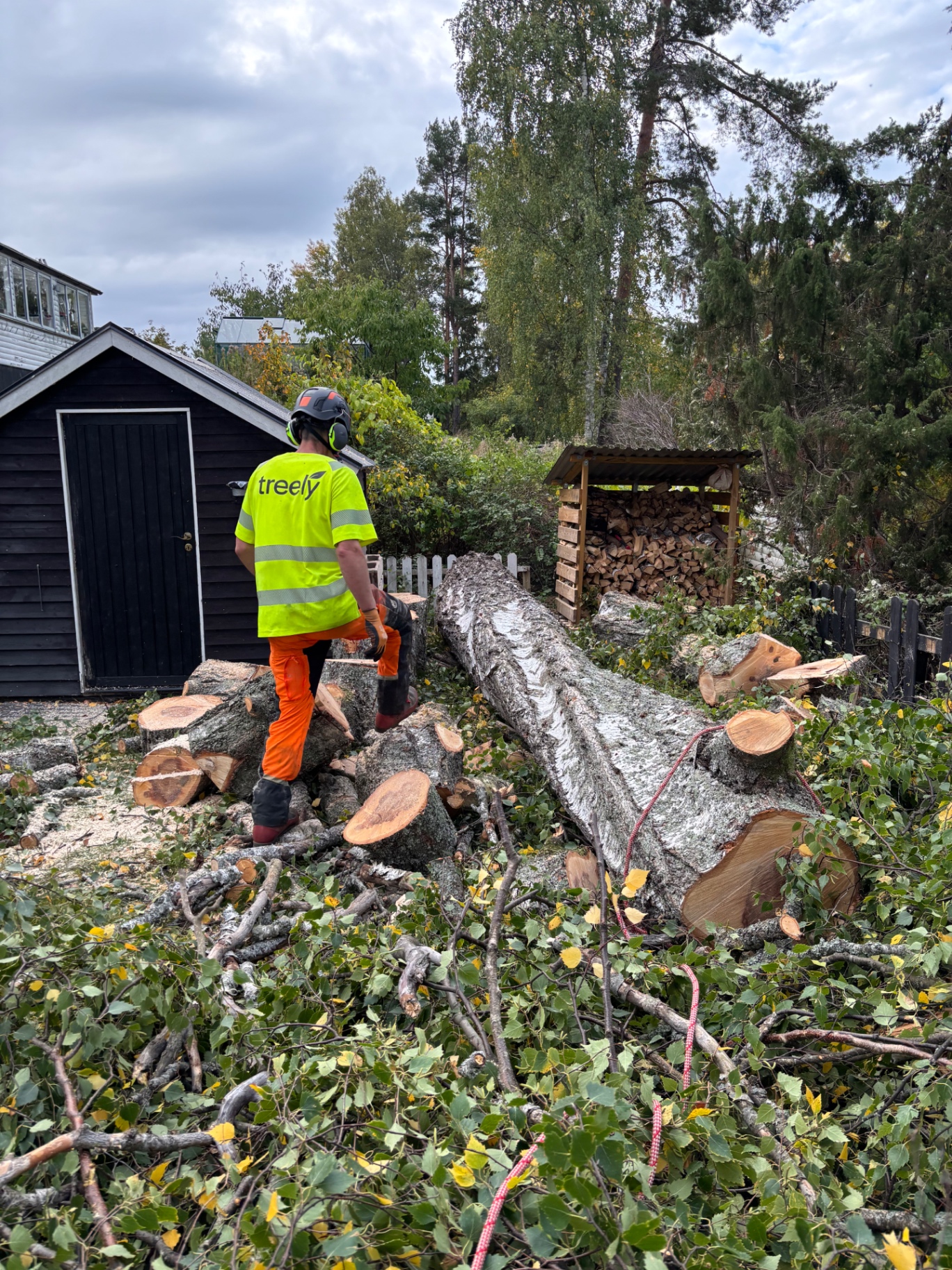 Fälld trädstam på en villatomt